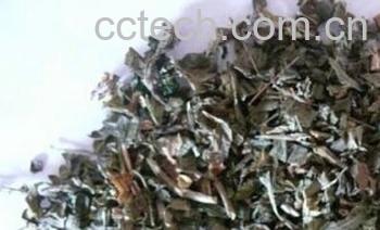 果蔬百科失笑散-0