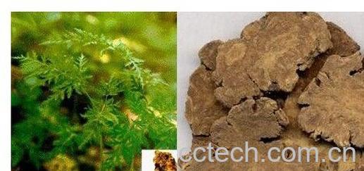 果蔬百科酒川穹-0