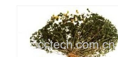 果蔬百科百脉根-0