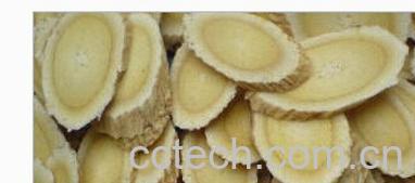 果蔬百科炙黄芪-0