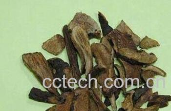 果蔬百科地榆炭-0