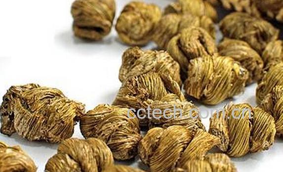 果蔬百科铁皮枫斗-0