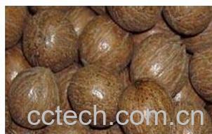 果蔬百科胡桃仁-0