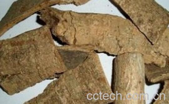 果蔬百科鸭脚树皮-0