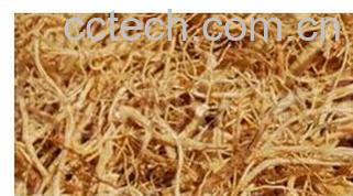 果蔬百科参须-0