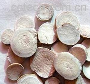 果蔬百科炒白芍-0