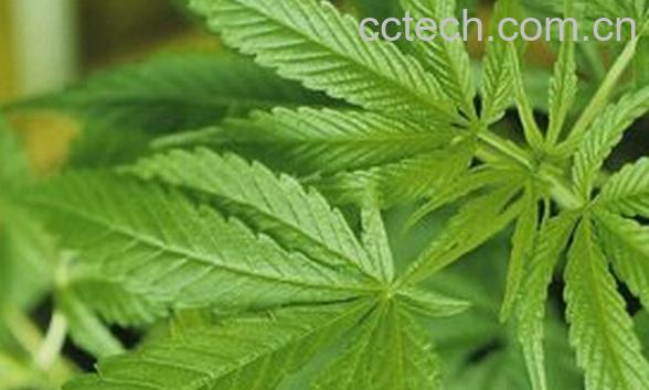 果蔬百科水h醪-0