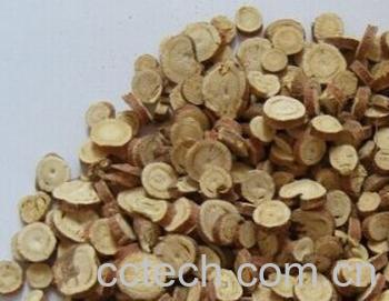 果蔬百科炙甘草-0