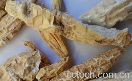 果蔬百科土白蔹-0