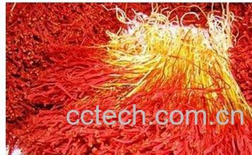 果蔬百科藏红花-0