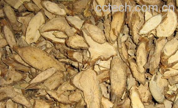 果蔬百科崧筋藤-0