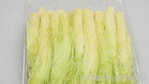 果蔬百科粟米须-0