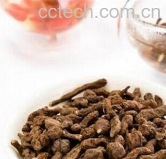 果蔬百科蕨麻-0