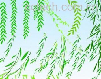 果蔬百科柳叶-0