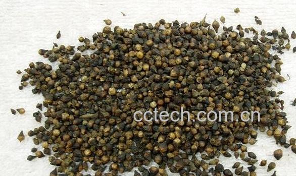 果蔬百科水翁花-0