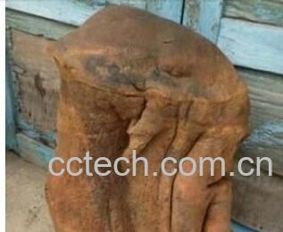 果蔬百科太岁-0