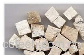 果蔬百科茯神的功效与作用-0