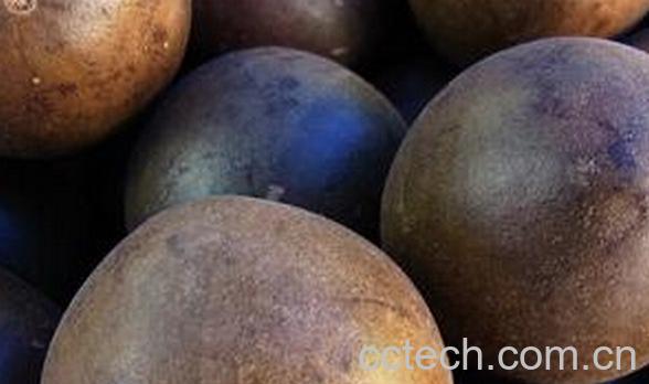 果蔬百科罗汉果壳-0