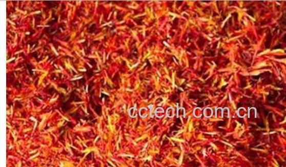 果蔬百科红花-0