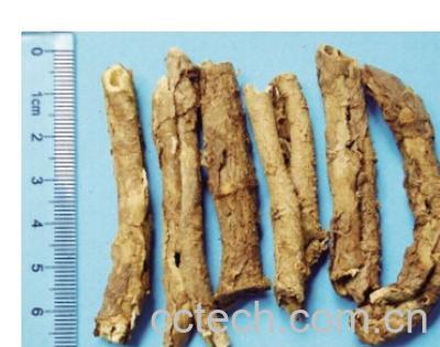 果蔬百科香加皮-0