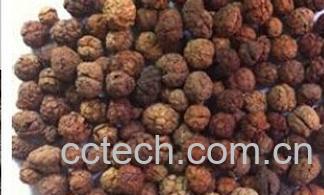 果蔬百科草寇-0