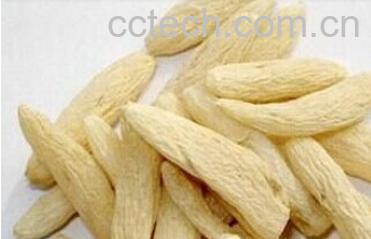 果蔬百科麦门冬的功效与作用-0