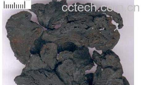 果蔬百科熟地黄-0