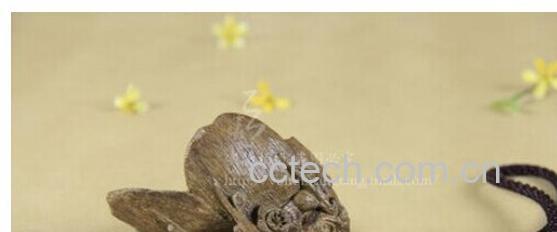 果蔬百科沉香-0