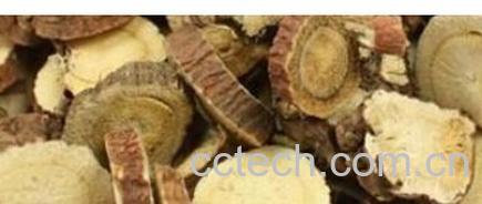 果蔬百科甘草-0