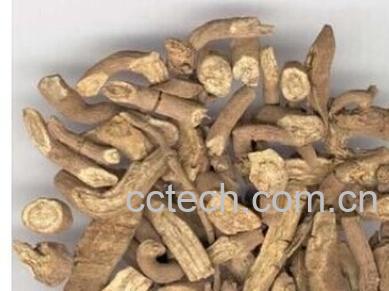 果蔬百科青木香-0