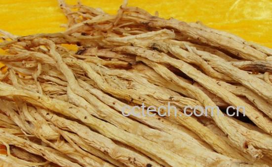 果蔬百科山萝卜-0