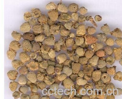 果蔬百科赤石脂-0