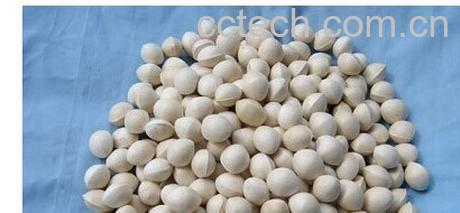 果蔬百科银杏-0