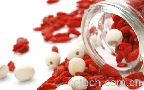 果蔬百科枸杞子-0