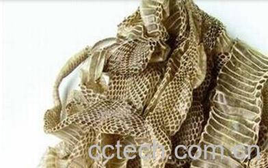 果蔬百科蛇蜕-0