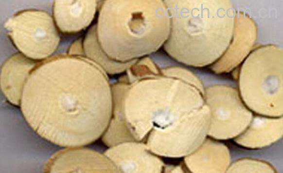 果蔬百科老桑枝-0