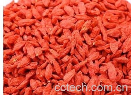 果蔬百科枸杞子-0