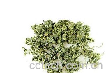 果蔬百科绞股蓝茶-0