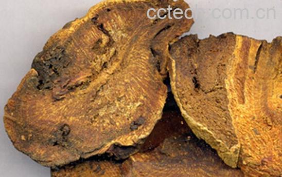 果蔬百科大黄-0