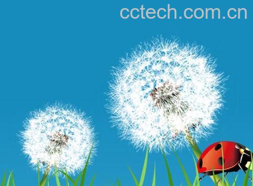 果蔬百科蒲公英-0