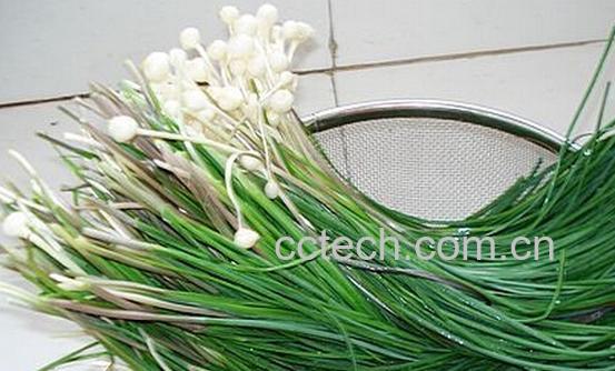 果蔬百科根韭-0