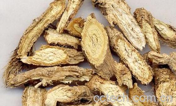 果蔬百科羌活-0