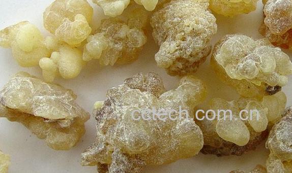 果蔬百科乳香-0