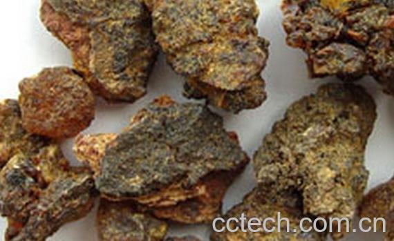 果蔬百科没药-0