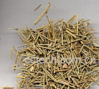 果蔬百科细心子-0