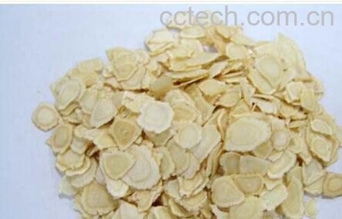 果蔬百科西洋参-0