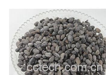 果蔬百科淡豆鼓-0