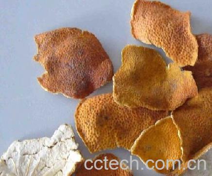 果蔬百科陈皮-0