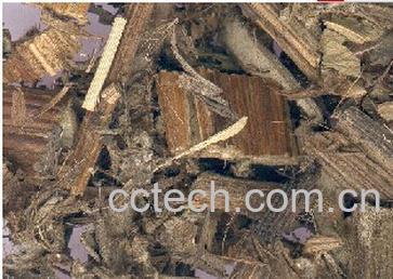 果蔬百科大蓟-0