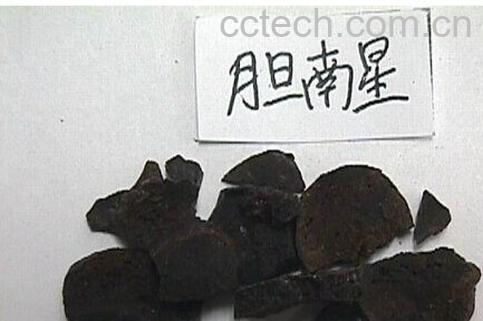 果蔬百科胆南星-0